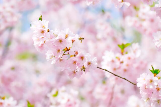 Adobe Stock 123360552