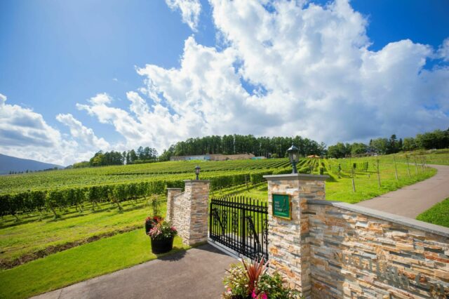 NIKI Hills entrance adjusted