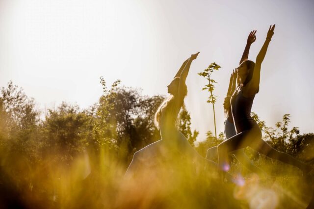 Women doing yoga in nature in warm light 2026 03 09 04 58 47 utc re