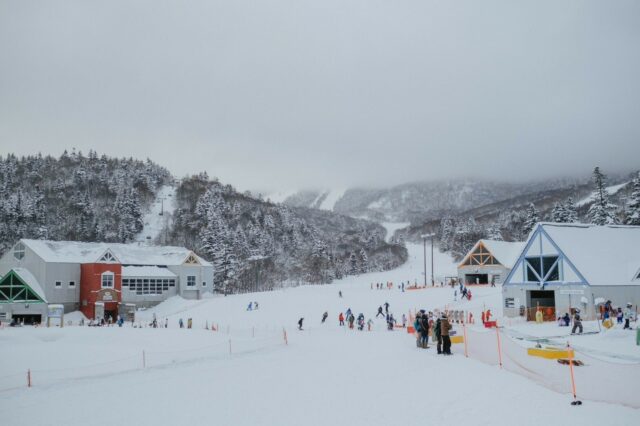 LINE ALBUM Picture 221219 7