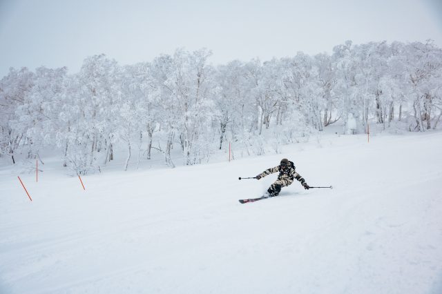 Japan2023 sebastianhoellwart 34